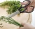 Import Stainless Steel Scissors for Herbs Kitchen Shears with Blade Cover from China