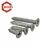 Import Stainless Steel ss316 Self Tapping Screw from China
