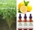 Import stevia liquid sweeteners+grape flavor from China