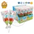 Import Sugar Coated Soft Jelly Candy Marshmallow Lollipop from China