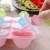 Import Sunflower smiling face ice lolly mould 9 grids ice cream mould from China