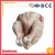 Import Supplier Frozen Whole Chicken from China