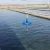 Import Surge type aerator for fish &amp; shrimp lake aerator aireadores para piscicultura blower from China