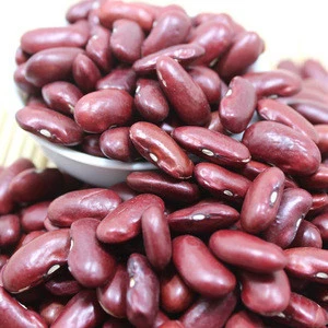 The price of Red cowpea bean Red Vigna bean with nice price wholesale