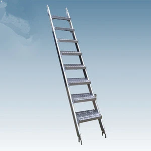 Tianjin Shisheng Group Factory Price Steel Ladder With Hook for Building Material