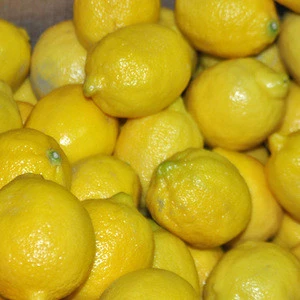 Top Quality Fresh Limes And Lemons With Best Prices