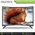 Import Trusted Supplier of German Brand 4K Smart Curved LED TV 55 inch at Best Price from Germany