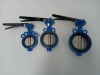 Two 2 holes body DI/CI/ cast iron body wafer type butterfly valve cheapest type