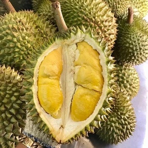 Vietnam fresh organic durian