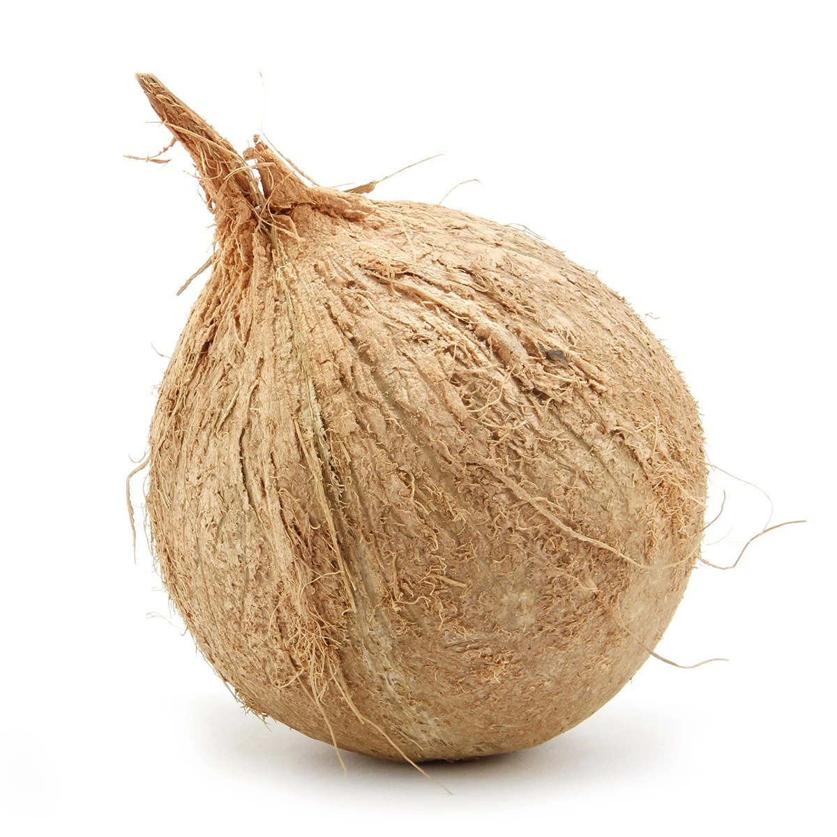 Vietnam semi husked coconuts whole sales (Ryan +84938244404)