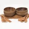 Vietnam Supplier Eco-friendly Coconut Bowl Art Pattern Coconut Shell bowl Wooden Bowl