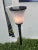 Import Warm White LED Outdoor Solar Powered Lantern Garden Lawn Landscape Light Yard Path from China