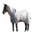 Import Waterproof &amp; Breathable Horse Rug Suppliers from India
