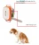 Import Waterproof Pet GPS tracker EX011 with collar for cat dog from China