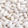 White Kidney Beans Long and Round shape