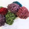 Wholesale 2020 dried artificial flower new produced Preserved decorative Anna Hydrangea with stem for home decor