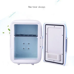 Wholesale 4L,6L  Custom Portable Cosmetic Beauty Mini Refrigerator Car Fridge