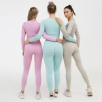 Wholesale Breathable Lady Sportswear Set High Quality Yoga Active Wear Seamless Fitness & Yoga Wear