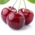 Import Wholesale cherry fresh with great quality from China