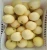 Import Wholesale China fresh Ya pears from China