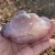Wholesale high quality hand carved natural polished crystal moon agate geode crystal crafts for wedding souvenirs guests