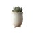 Import wholesale Modern White Decorative Garden Flower Holder Three-legged round ceramic flower pot Succulent Plant Pot from China