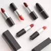 Wholesale Oem Charm Lip Bullet Matte Surface Lipstick