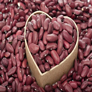 wholesale Polished Organic Non-GMO Dark Red Kidney Beans