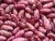 Import Wholesale Red Kidney Bean With Molybdenum Dietary Fiber And Copper from USA