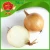Import yellow fresh pearl onions wholesale price Yunnan vegetable from China