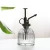 Import YouCheng Wholesale 200ml Vintage Style Transparent Vertical Stripe Glass Spray Watering Can from China