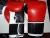Import zebra print boxing gloves / leather/ PU boxing glove with customized logo from Pakistan