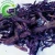 Import Zi Cao New Arrival inclusion-free traditional chinese medicinal Radix Arnebiae Seu Lithospermi for hot sale from China