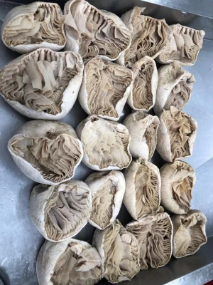 Beef Omasum