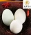 Import competitive Price Cooked salty duck egg 65g duck egg 200pcs/carton from Hunan Jiafeng Food from China