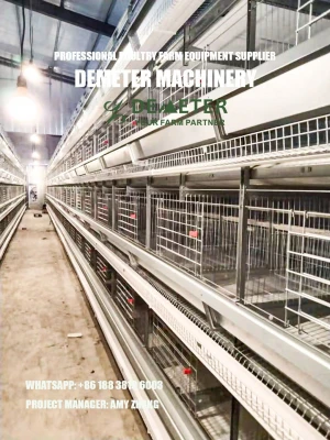 Automatic chicken cage for sale, layer chicken cage