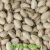 Import Pistachio nuts from Uzbekistan