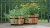 Import Wooden Barrel Pot Planters Oval Style Flower Plants Wooden Planter from Vietnam