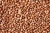 Import High-Quality Pinto Beans – Bulk Wholesale & Export Supply from Kenya
