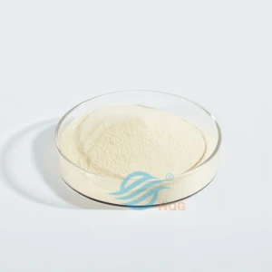 Agar agar powder from China factory