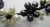 Import Black and white Pearl Gem stone Flower choker Necklace with Earrings  SET Hand Made  PN5BK from Thailand