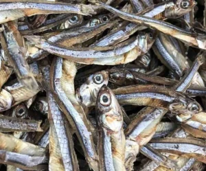Dried anchovy spratts 100% Organic
