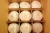 Import Fresh Young Coconuts Wholesale from USA