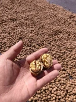 Hot Sale Light Amber Halves butterfly 185 33 2 Walnut Kernels