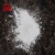Import plastic and rubber grade precipitated light calcium carbonate powder from China