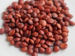 Raw Chinese Herbs /Herba Seed of Wild Jujube/Spina Date Seed
