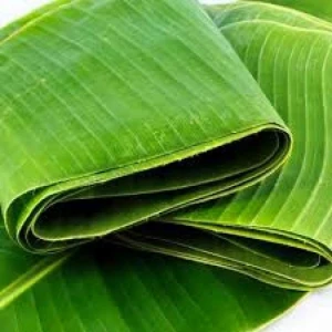 Banana leaves fresh and frozen for wrapping purpose dried banana leaf from Vietnam