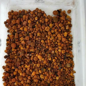 Excellent Quality Ox Gallstones Natural Cow Gallstones.