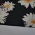 Import Flower printed fabric scrub fabric polyester spandex uniform fabric from China