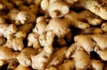 Ginger